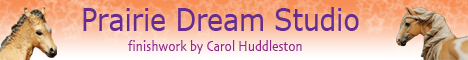 Carol Huddleston - Prairie Dream Studio
