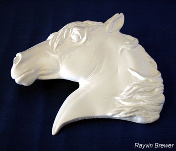 2010/2011 NAN Trophy Contest Entrant