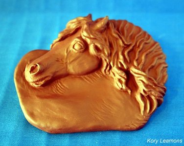 2010/2011 NAN Trophy Contest Entrant