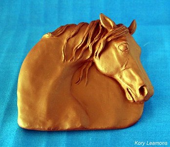 2010/2011 NAN Trophy Contest Entrant