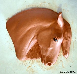 2010/2011 NAN Trophy Contest Entrant