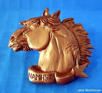2010/2011 NAN Trophy Contest Entrant