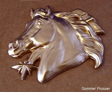 2010/2011 NAN Trophy Contest Entrant