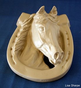 2010/2011 NAN Trophy Contest Entrant