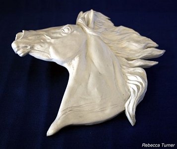 2010/2011 NAN Trophy Contest Entrant