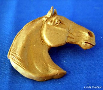 2010/2011 NAN Trophy Contest Entrant